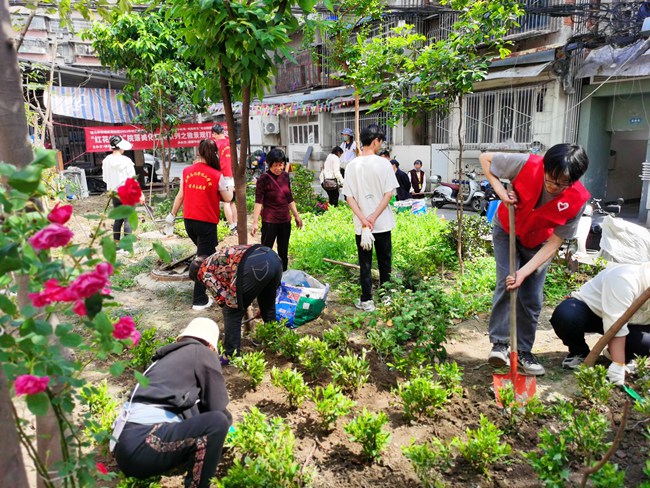 老舊院落的微更新、微改造。紅花社區(qū)供圖