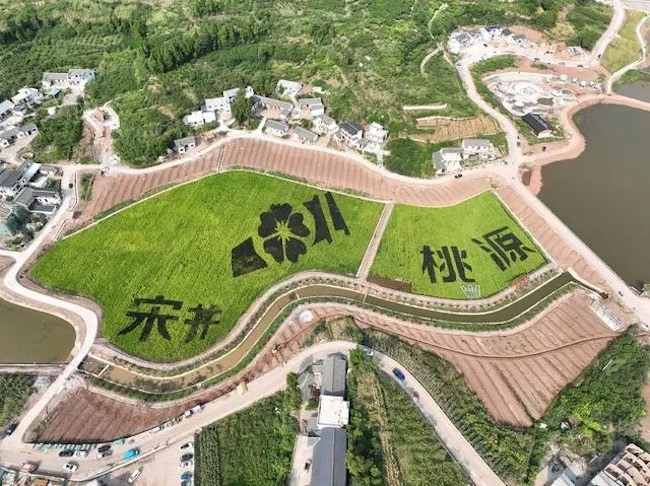 俯瞰宋井桃源。 大英縣委宣傳部供圖