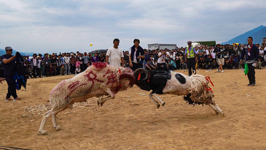 2023年第八屆涼山彝族火把節(jié)暨夏季清涼涼山游系列活動正式拉開帷幕。涼山州委宣傳部供圖