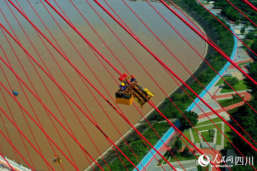 工人避開高溫時(shí)段調(diào)試大橋斜拉索。廖勝春攝