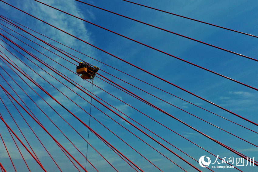 工人避開高溫時段調試大橋斜拉索。廖勝春攝