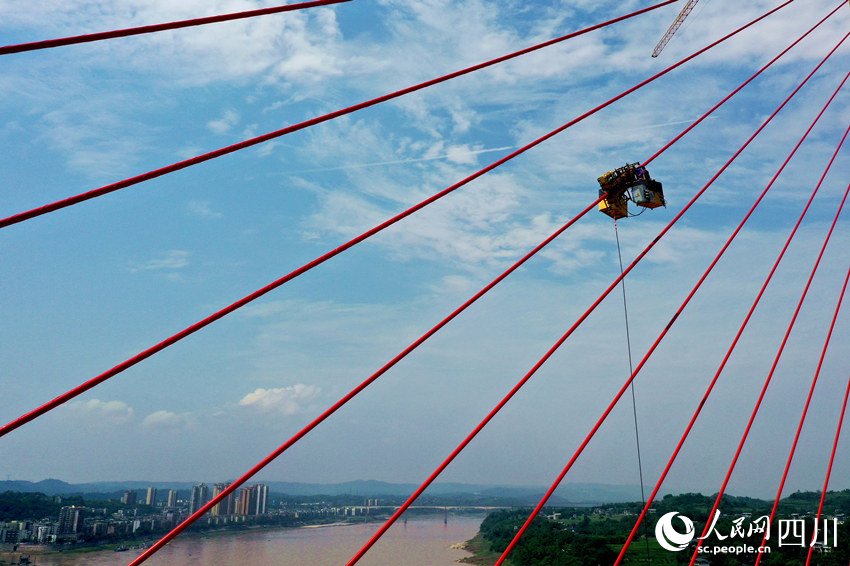 工人避開高溫時段調試大橋斜拉索。廖勝春攝