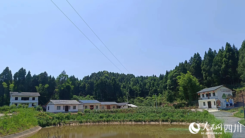 寶梵村村景。吳舒婷攝