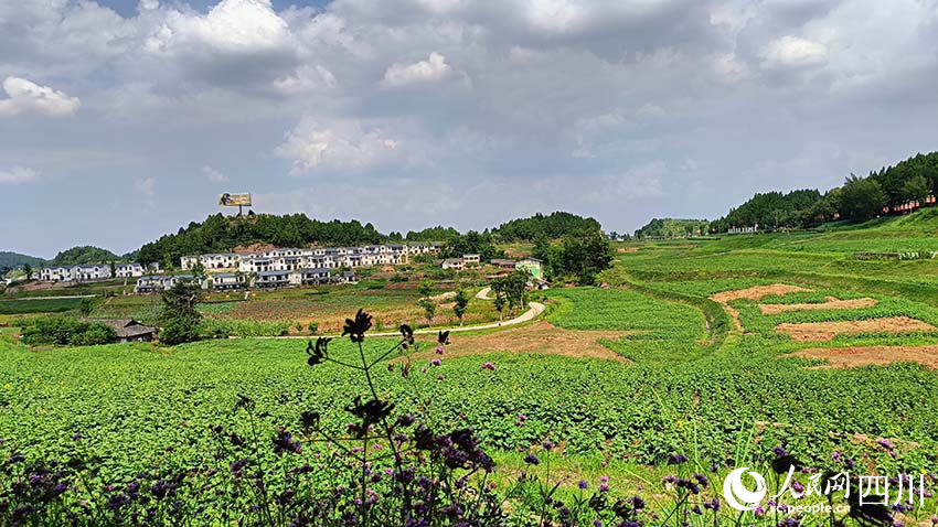 站在遠處眺望海龍村，村美景美。實習生 吳舒婷攝