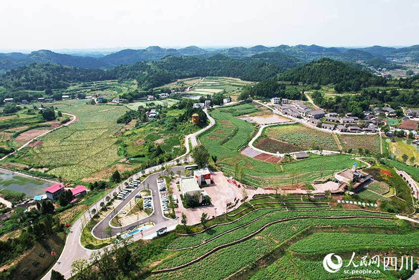 海龍村產(chǎn)業(yè)園。侯杰攝