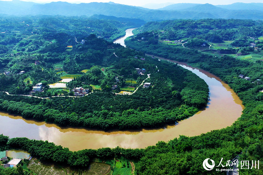 鳥瞰四川省瀘州市納溪區(qū)護國鎮(zhèn)沙田村柚子種植基地。廖勝春攝