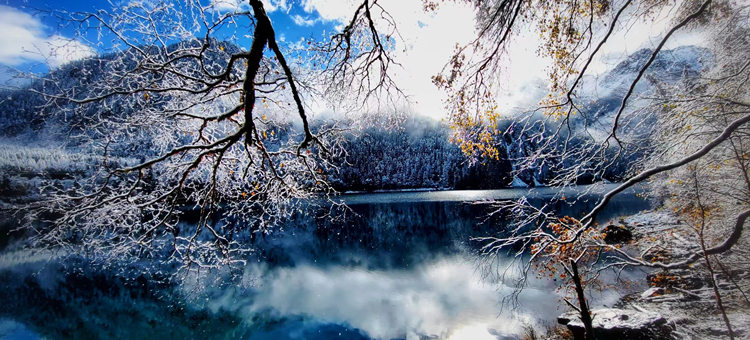 雪景中的彩林、海子。九管局供圖