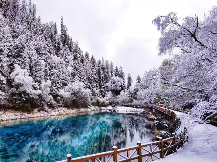 雪景中的五彩池。九管局供圖