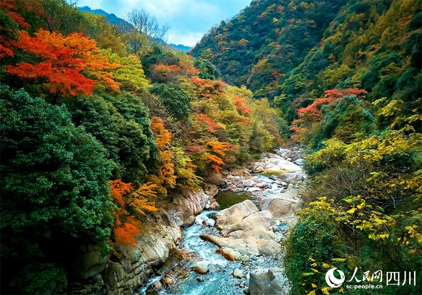 彩林溪流，相映生輝。胡宇攝