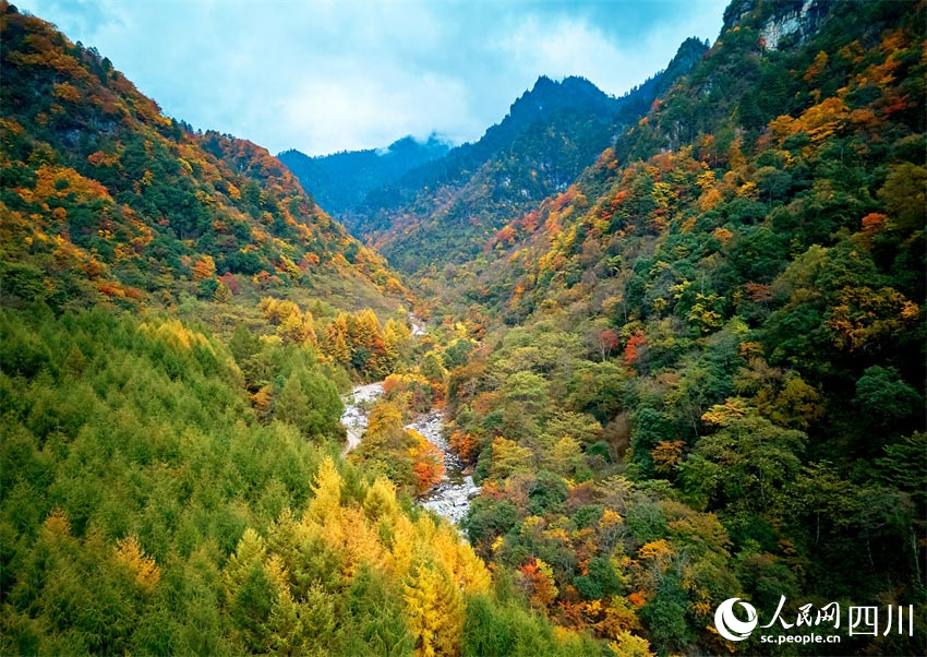 層林盡染，秋色斑斕。胡宇攝