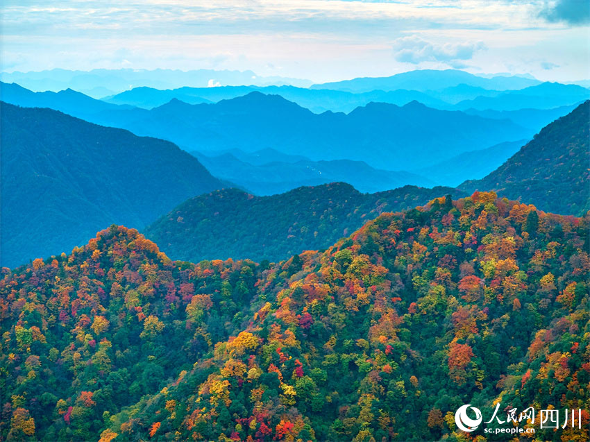 群巒疊嶂，紅葉滿山。胡宇攝