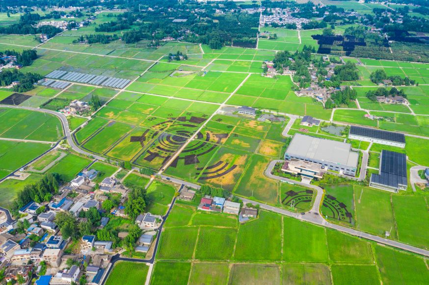 中化農(nóng)村社會(huì)化服務(wù)西南總部基地。崇州市人民政府供圖