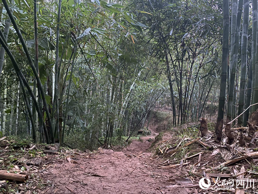 當(dāng)?shù)爻掷m(xù)降雨，山村道路濕滑。人民網(wǎng) 王凡攝