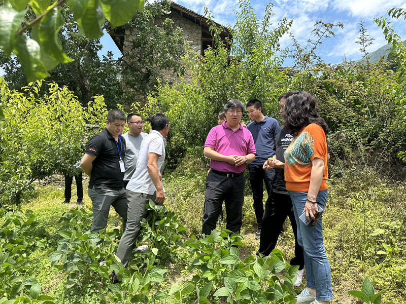 7月20日，都江堰市第七批對(duì)口支援工作隊(duì)領(lǐng)隊(duì)楊波在康定市麥崩鄉(xiāng)調(diào)研農(nóng)業(yè)產(chǎn)業(yè)項(xiàng)目。康定市融媒體中心供圖