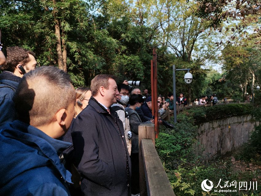法國駐華大使白玉堂參訪成都大熊貓繁育研究基地，看望首只在法國出生的大熊貓幼崽“圓夢”。人民網記者 朱虹攝