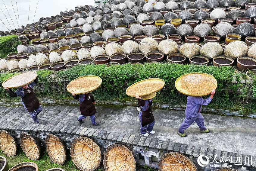 工人在露天曬場(chǎng)里忙碌生產(chǎn)。李貴平攝