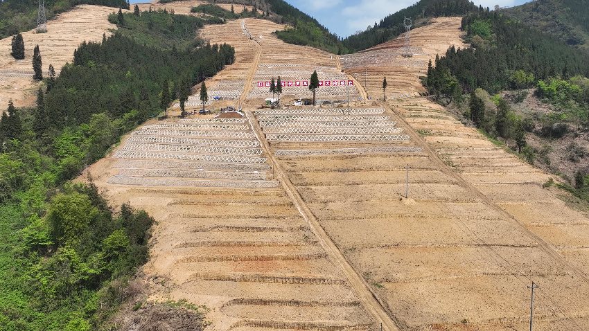 蘆山縣苗溪農(nóng)場土地整治項目現(xiàn)場。四川省自然資源廳宣傳教育中心供圖