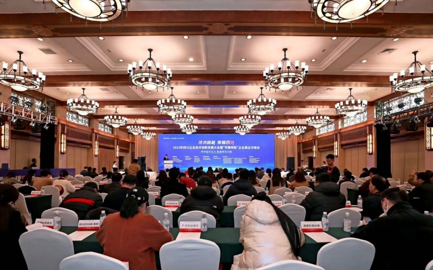 會議現(xiàn)場。主辦方供圖