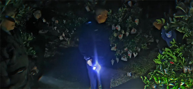 派出所民警正在連夜尋找老人。圖片來源：資陽市公安局雁江區(qū)分局