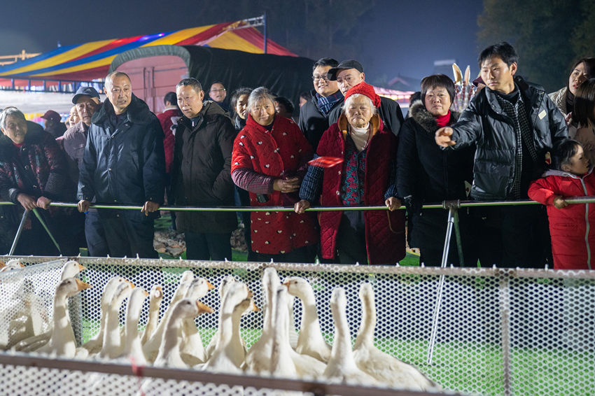 2月1日，群眾在眉山市彭山區(qū)金燭村的萬(wàn)家水碾夜市體驗(yàn)“套鵝”游樂(lè)項(xiàng)目。翁光建攝