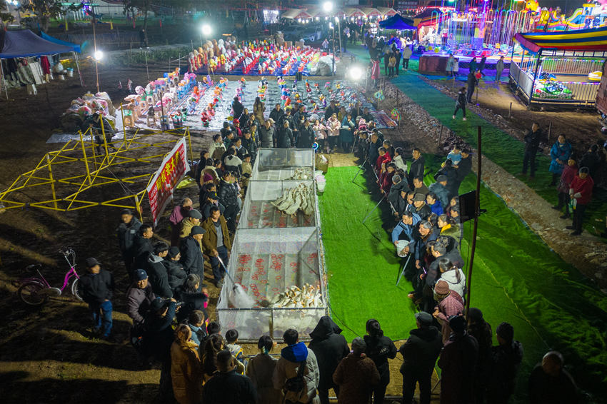 2月1日，群眾在眉山市彭山區(qū)金燭村的萬家水碾夜市體驗“套鵝”游樂項目。翁光建攝