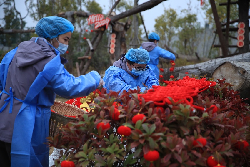 場(chǎng)景布置。成都大熊貓繁育研究基地供圖