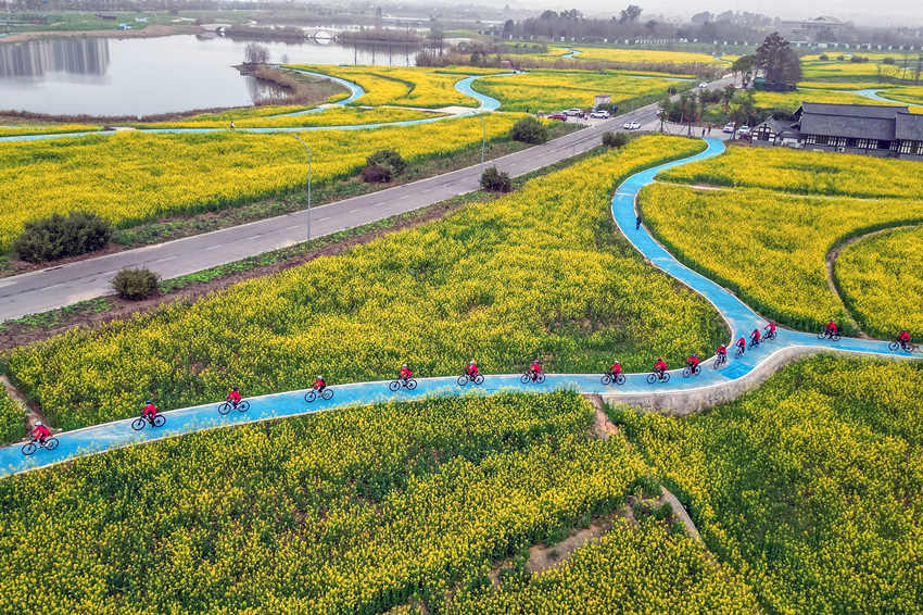 騎行愛好者在四川省眉山市彭山區(qū)“五湖四海”濕地公園綠道騎行賞花。翁光建攝