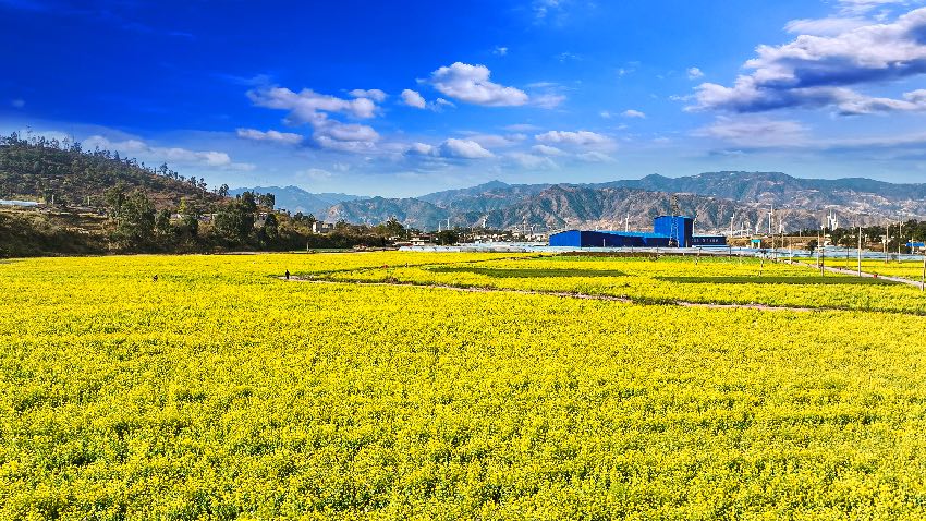 黃聯(lián)關(guān)鹿馬村。西昌市融媒體中心供圖