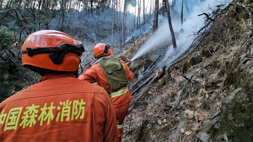 消防隊(duì)員挺身而出。四川省森林消防總隊(duì)供圖