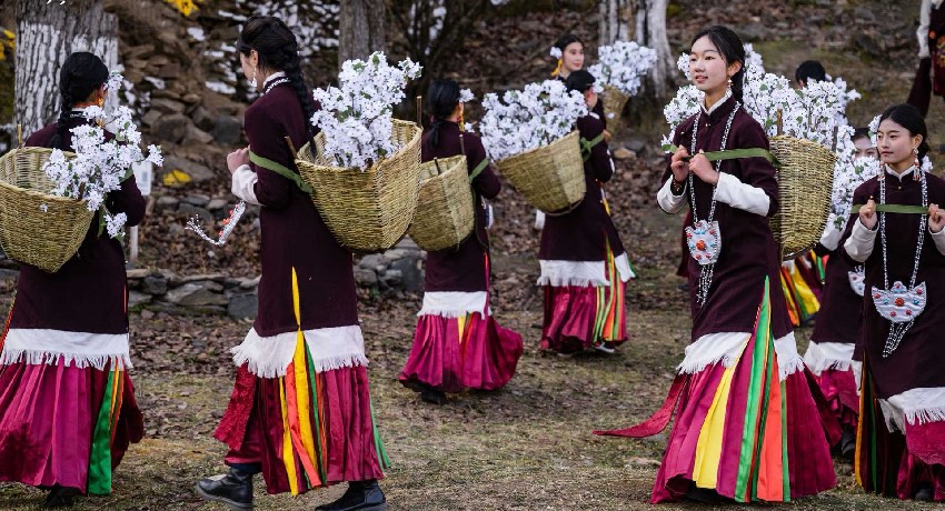 2024美人谷·丹巴梨花春賞季活動(dòng)現(xiàn)場(chǎng)。何曦?cái)z