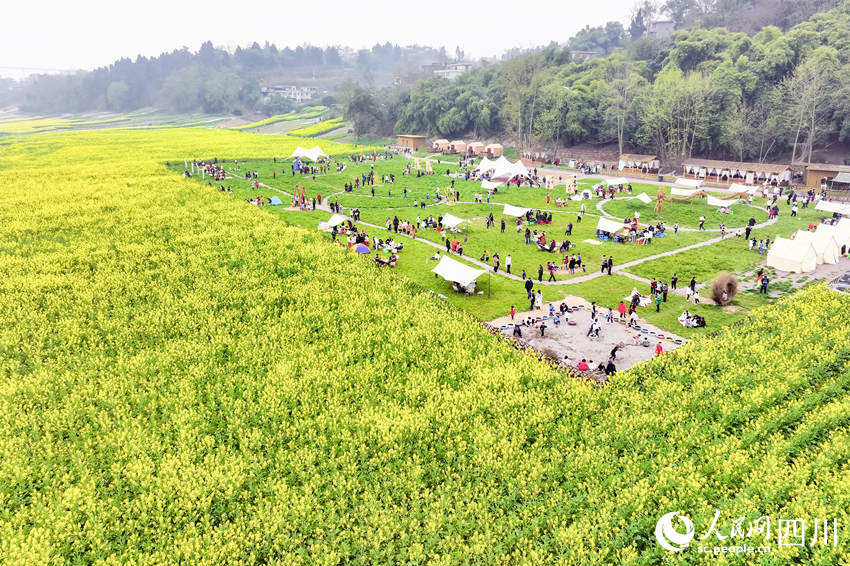 眾多游客前來露營賞花。李貴平攝