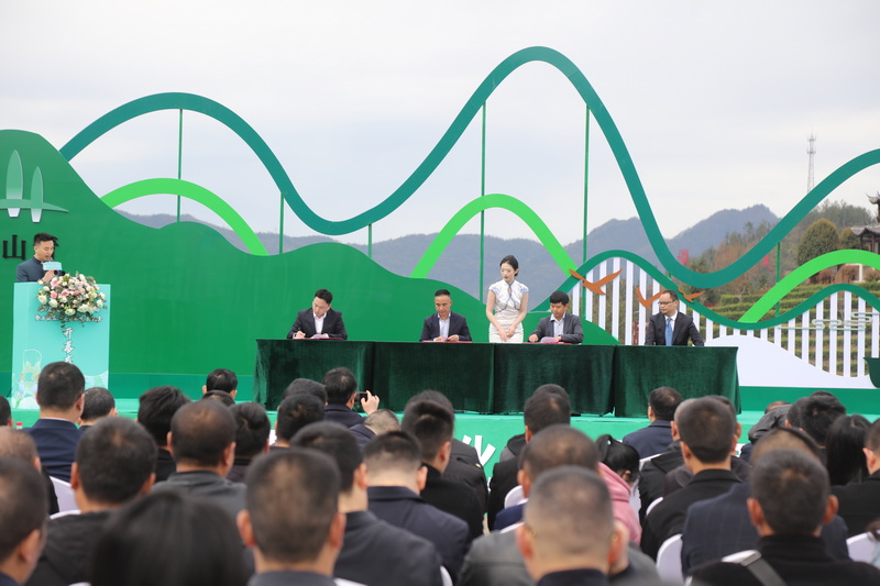 托底性幫扶萬源單位與萬源茶企現(xiàn)場簽約。馬發(fā)海供圖