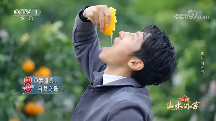 央視主持人撒貝寧品嘗“兩個(gè)替代”種出的蒲江愛媛果凍橙。蒲江縣委宣傳部供圖