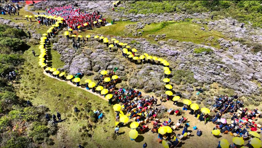 2024清涼涼山·昭覺(jué)索瑪花季開(kāi)幕式現(xiàn)場(chǎng)。昭覺(jué)縣融媒體中心供圖