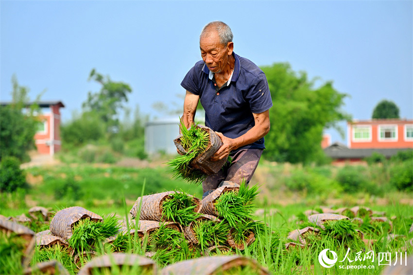 技藝傳承久，美食憶先賢。人民網(wǎng)記者 劉海天攝