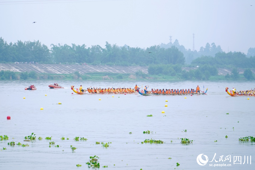 龍舟賽現(xiàn)場(chǎng)。人民網(wǎng) 趙祖樂(lè)攝