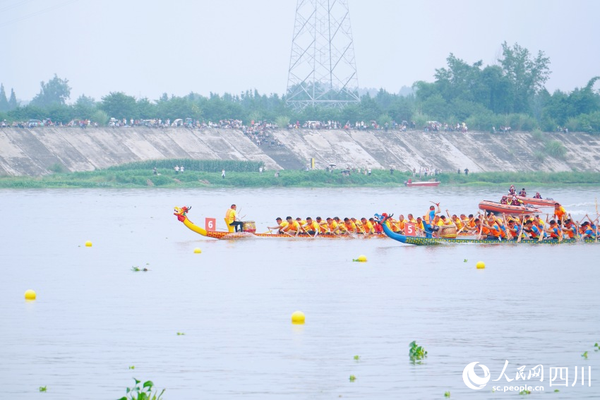 龍舟賽現(xiàn)場(chǎng)。人民網(wǎng) 趙祖樂(lè)攝
