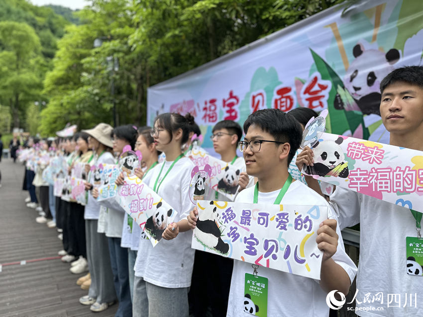 “粉絲”們期盼與“福寶”見面。人民網(wǎng)記者 王波攝