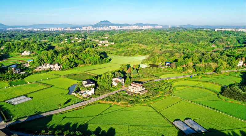 川渝共建巴蜀魚米之鄉(xiāng)。合江縣委宣傳部供圖