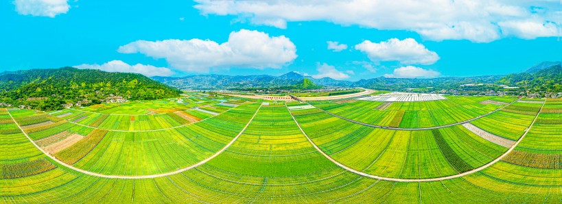 米易稻菜輪作產業(yè)園（四川省五星級現代化農業(yè)園區(qū)）。米易縣融媒體中心供圖