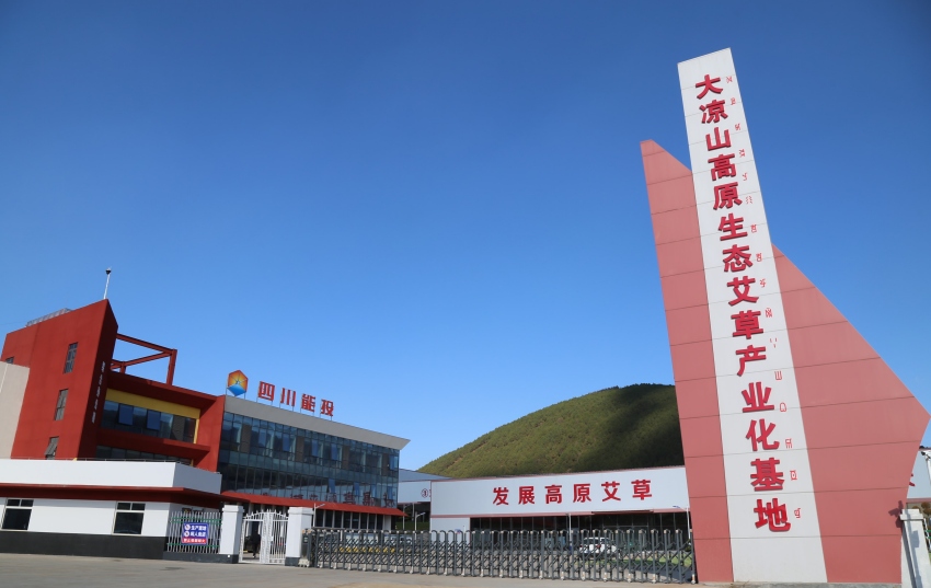 四川能投大涼山高原艾草生態(tài)產(chǎn)業(yè)園區(qū)。四川能投供圖
