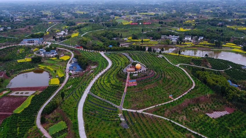 阡陌交錯的農(nóng)村路。四川省交通運輸廳供圖