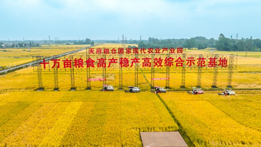 成都市天府糧倉(cāng)國(guó)家現(xiàn)代農(nóng)業(yè)產(chǎn)業(yè)園區(qū)。崇州市委宣傳部供圖