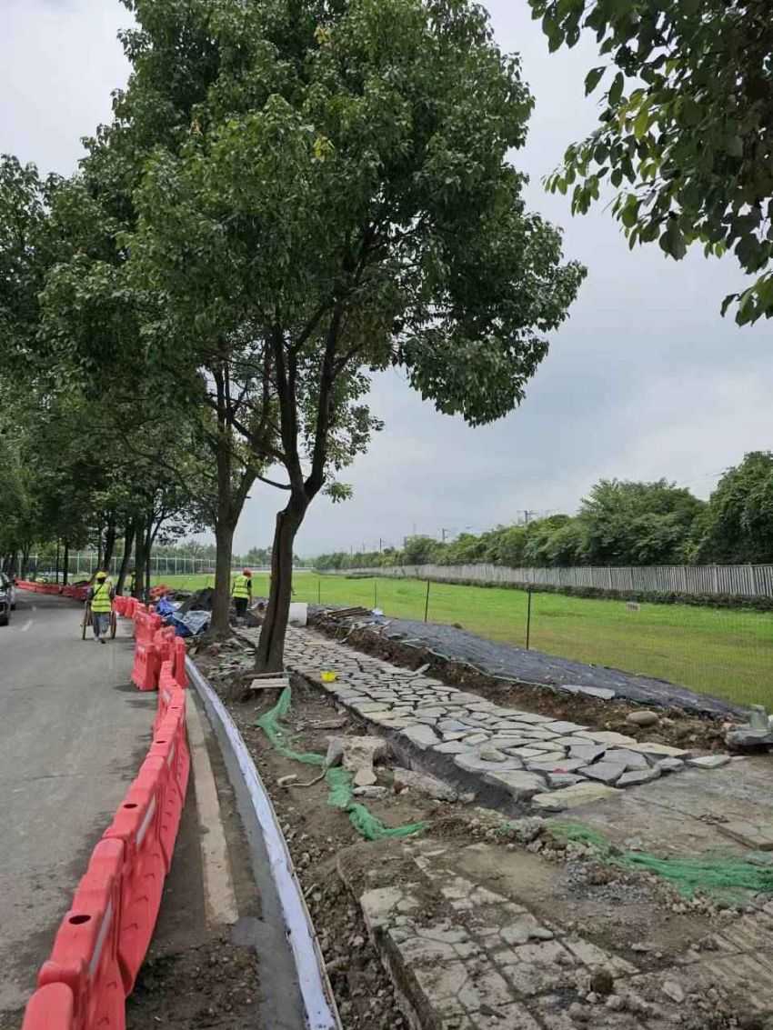 國資金融局+都江堰結(jié)對聯(lián)動：青城園區(qū)周邊示范段打造。青城合作片區(qū)管委會供圖