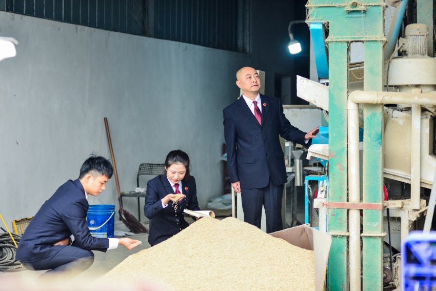 以檢察之力保障種子安全， “農(nóng)”墨重彩繪豐景。崇州市檢察院供圖