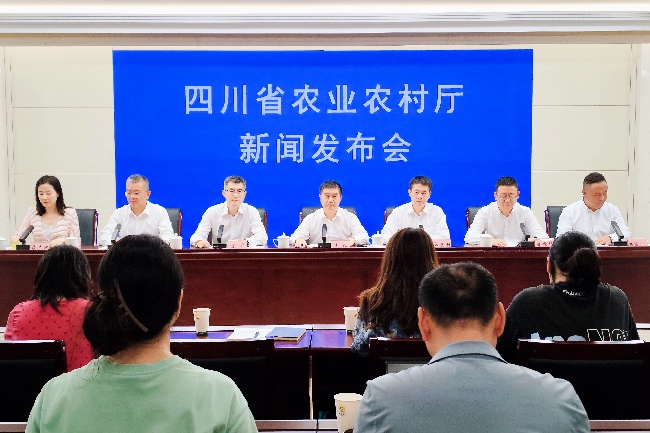 新聞發(fā)布會現(xiàn)場。人民網(wǎng)記者 朱虹攝
