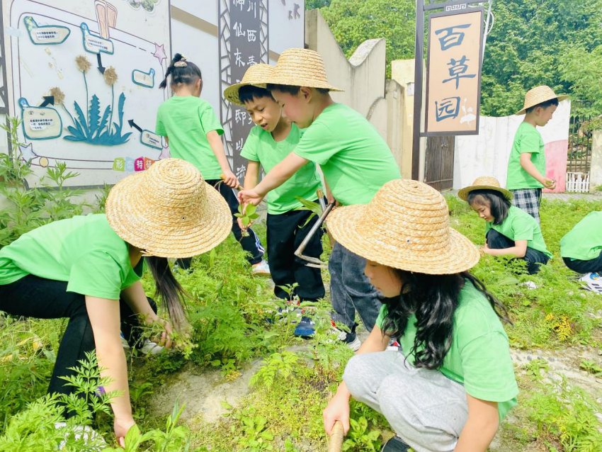 都江堰市石羊幼兒園——五一勞動(dòng)最光榮，這是屬于我們的快樂(lè)。成都市教育局供圖