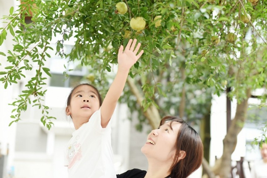 支持兒童成長(zhǎng)。成都市金牛區(qū)機(jī)關(guān)第三幼兒園供圖