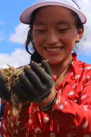 白玉縣贈(zèng)科鄉(xiāng)下比沙村千畝青稞共富田園種植基地，村民手捧青稞滿臉笑容。
