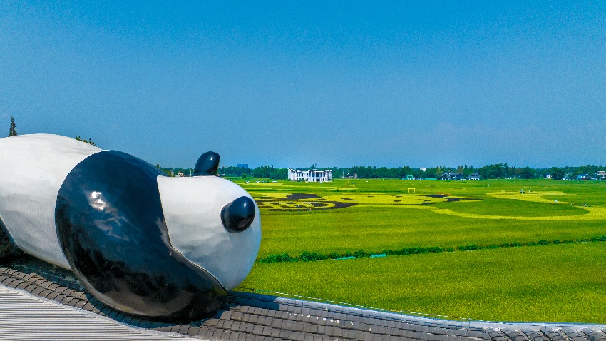 美麗的軍屯鎮(zhèn)天星村。新都區(qū)融媒體中心供圖